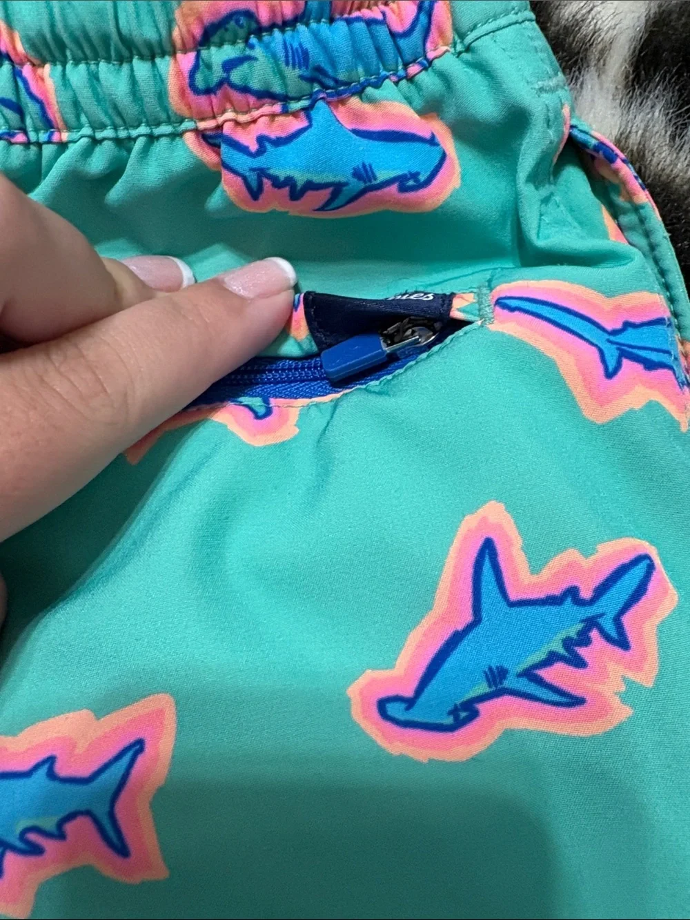 chubbies Teal Swim Trunks with Blue & Pink Shark Pattern